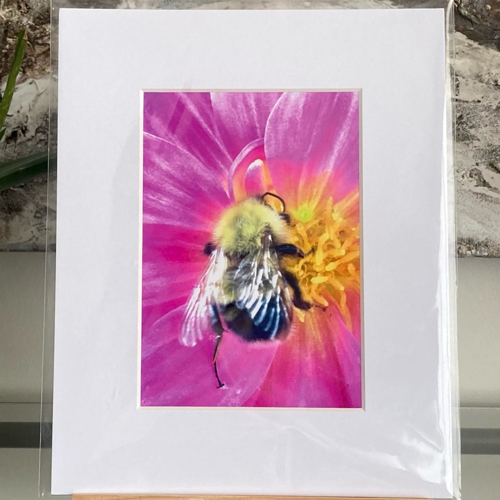❌SOLD❌”BUMBLE AND GUMBALL” ~ ORIGINAL ART by ~ @lisamichellebeckerphotography - Picture 11 of 13